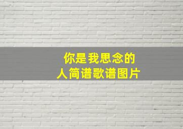 你是我思念的人简谱歌谱图片