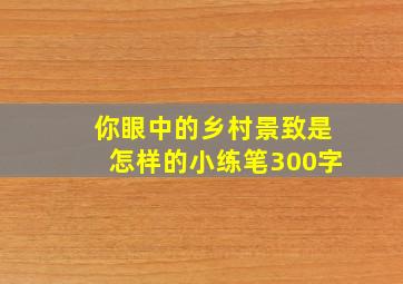 你眼中的乡村景致是怎样的小练笔300字