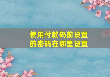 使用付款码前设置的密码在哪里设置