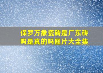 保罗万象瓷砖是广东砖吗是真的吗图片大全集