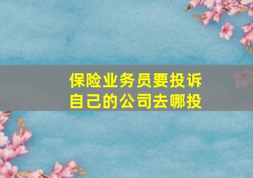 保险业务员要投诉自己的公司去哪投