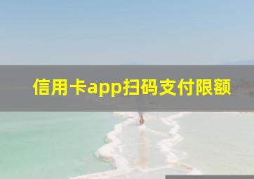 信用卡app扫码支付限额