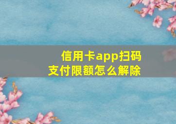 信用卡app扫码支付限额怎么解除