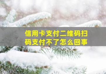 信用卡支付二维码扫码支付不了怎么回事