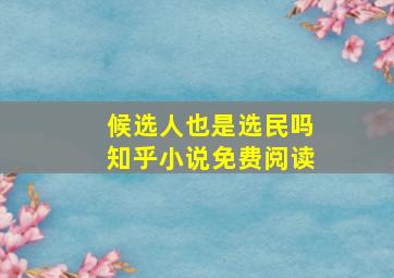 候选人也是选民吗知乎小说免费阅读