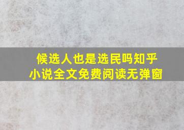 候选人也是选民吗知乎小说全文免费阅读无弹窗