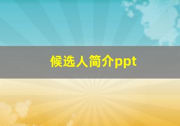 候选人简介ppt