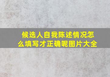 候选人自我陈述情况怎么填写才正确呢图片大全