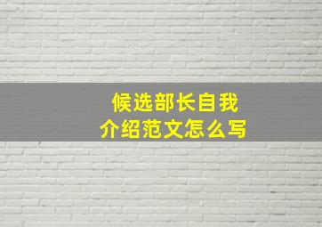 候选部长自我介绍范文怎么写