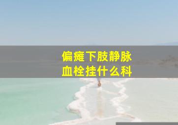 偏瘫下肢静脉血栓挂什么科