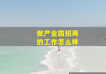 做产业园招商的工作怎么样