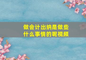 做会计出纳是做些什么事情的呢视频