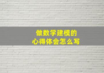 做数学建模的心得体会怎么写