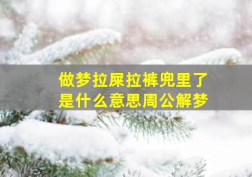 做梦拉屎拉裤兜里了是什么意思周公解梦