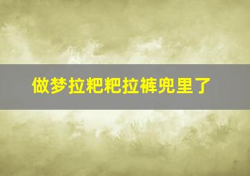 做梦拉粑粑拉裤兜里了