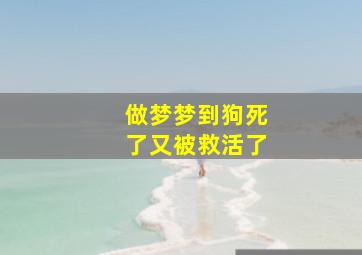 做梦梦到狗死了又被救活了