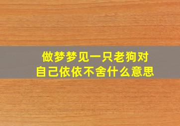 做梦梦见一只老狗对自己依依不舍什么意思