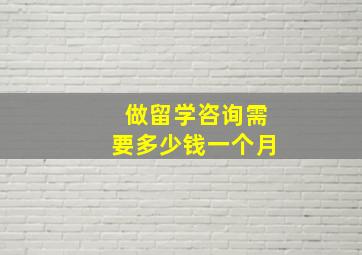 做留学咨询需要多少钱一个月