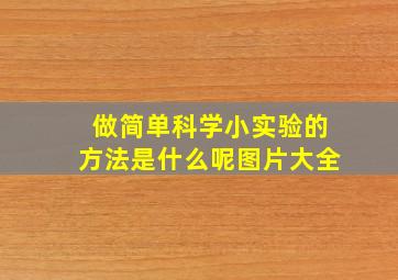 做简单科学小实验的方法是什么呢图片大全