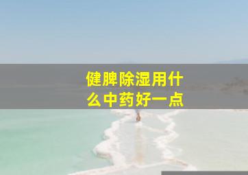 健脾除湿用什么中药好一点