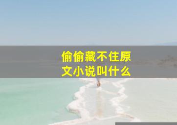 偷偷藏不住原文小说叫什么