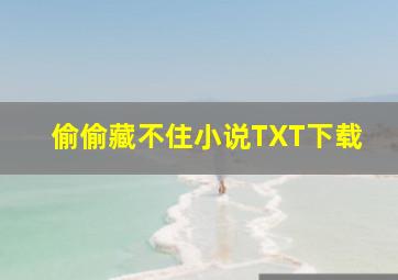 偷偷藏不住小说TXT下载