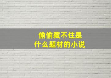 偷偷藏不住是什么题材的小说