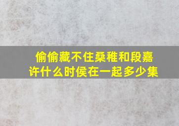 偷偷藏不住桑稚和段嘉许什么时侯在一起多少集