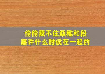 偷偷藏不住桑稚和段嘉许什么时侯在一起的