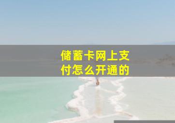 储蓄卡网上支付怎么开通的