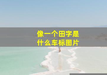 像一个田字是什么车标图片