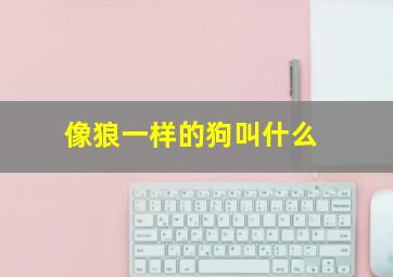 像狼一样的狗叫什么