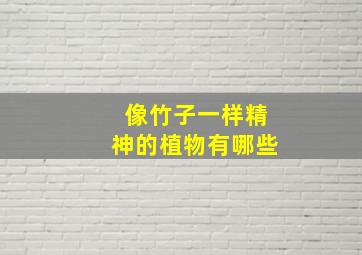 像竹子一样精神的植物有哪些