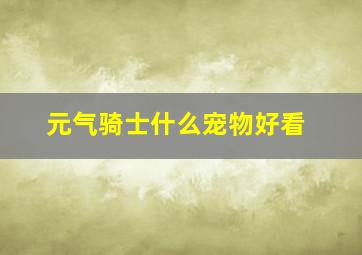 元气骑士什么宠物好看