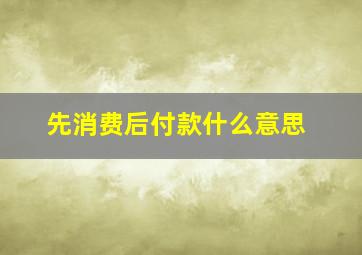 先消费后付款什么意思