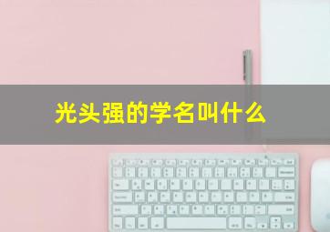 光头强的学名叫什么