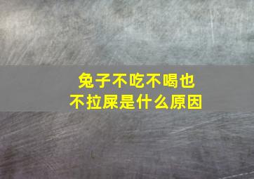 兔子不吃不喝也不拉屎是什么原因