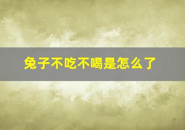 兔子不吃不喝是怎么了