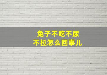 兔子不吃不尿不拉怎么回事儿