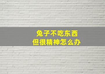 兔子不吃东西但很精神怎么办