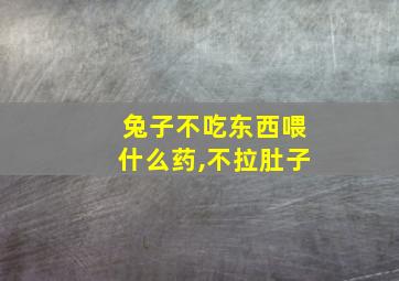 兔子不吃东西喂什么药,不拉肚子