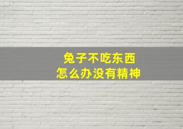 兔子不吃东西怎么办没有精神