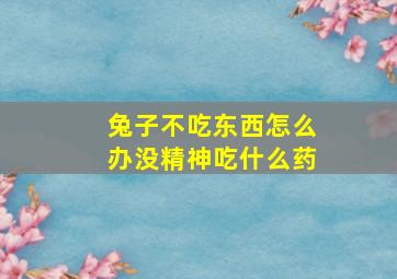 兔子不吃东西怎么办没精神吃什么药