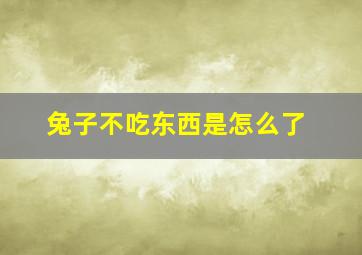 兔子不吃东西是怎么了