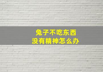 兔子不吃东西没有精神怎么办