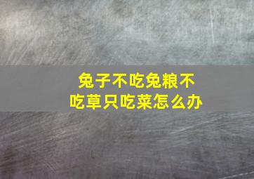 兔子不吃兔粮不吃草只吃菜怎么办