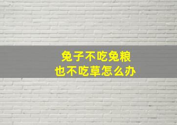 兔子不吃兔粮也不吃草怎么办