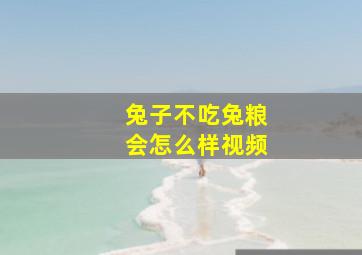 兔子不吃兔粮会怎么样视频