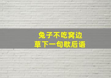 兔子不吃窝边草下一句歇后语