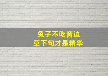 兔子不吃窝边草下句才是精华